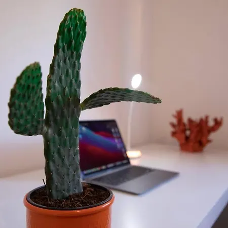 Modern Und Stilvoll Zwischen Innenstadt Und Rue * Essen